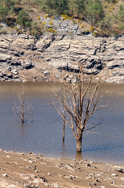0035Lac de Guerledan.jpg - SONY DSC